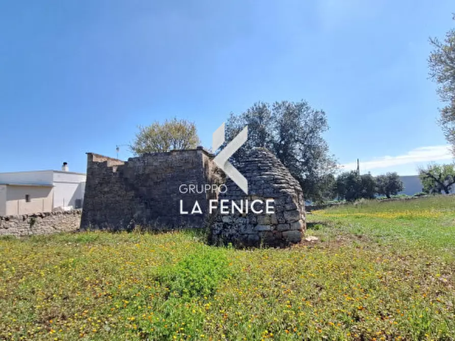 Immagine 17 di Rustico / casale in vendita  in contrada Marinelli Tirunno a Cisternino