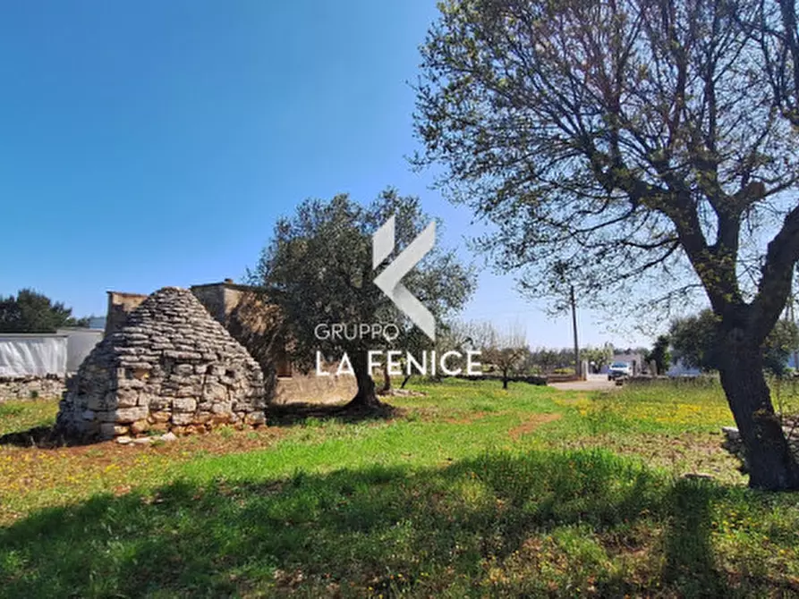 Immagine 18 di Rustico / casale in vendita  in contrada Marinelli Tirunno a Cisternino