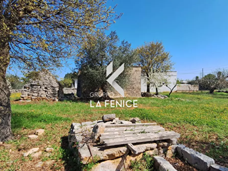 Immagine 19 di Rustico / casale in vendita  in contrada Marinelli Tirunno a Cisternino