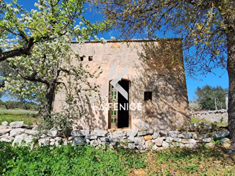 Immagine 23 di Rustico / casale in vendita  in contrada Marinelli Tirunno a Cisternino