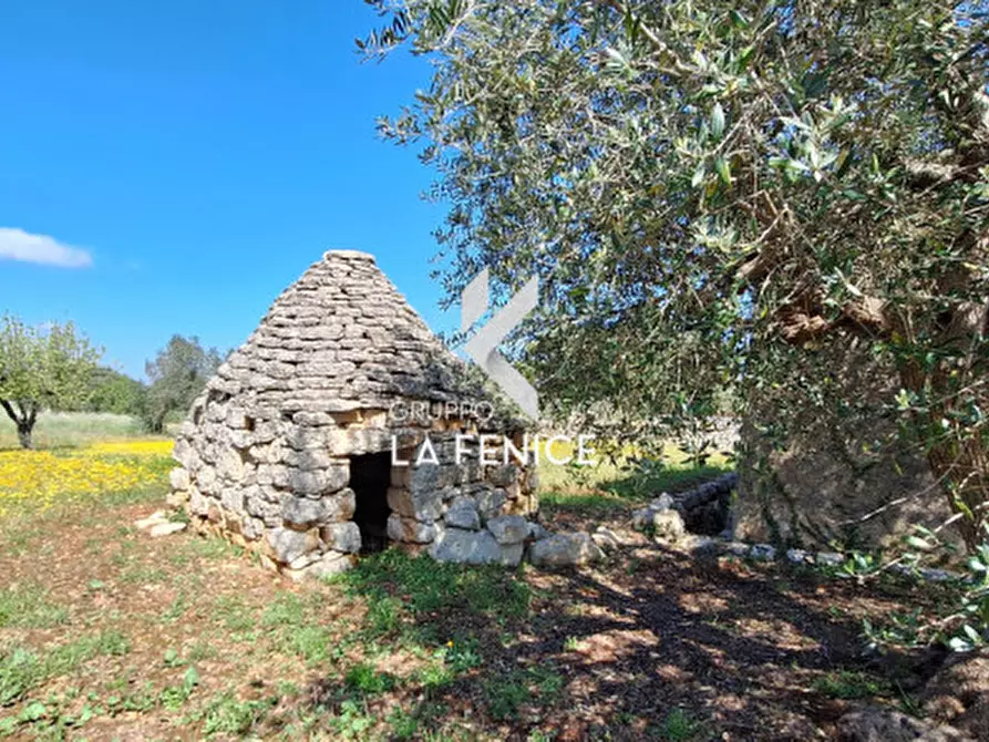Immagine 32 di Rustico / casale in vendita  in contrada Marinelli Tirunno a Cisternino