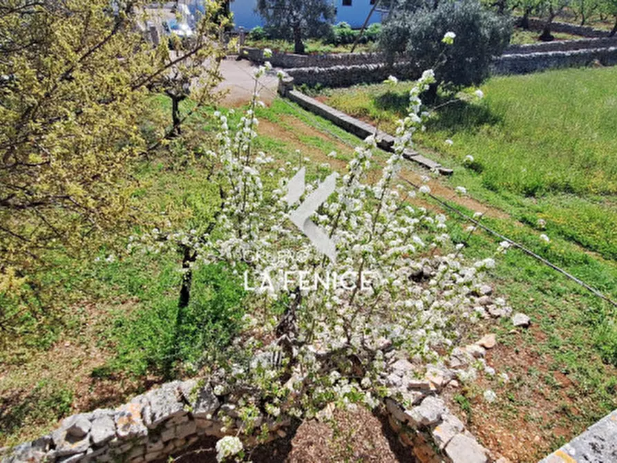 Immagine 35 di Rustico / casale in vendita  in contrada Marinelli Tirunno a Cisternino