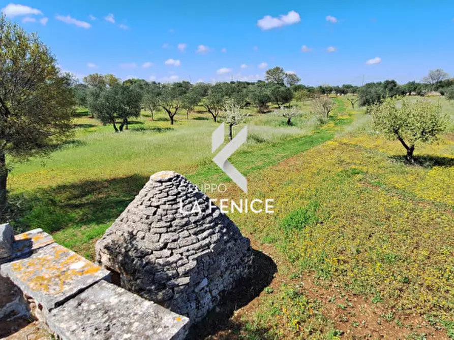 Immagine 36 di Rustico / casale in vendita  in contrada Marinelli Tirunno a Cisternino