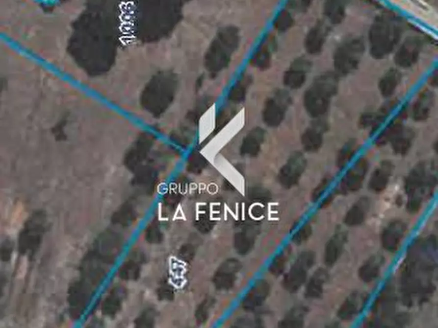 Immagine 37 di Rustico / casale in vendita  in contrada Marinelli Tirunno a Cisternino