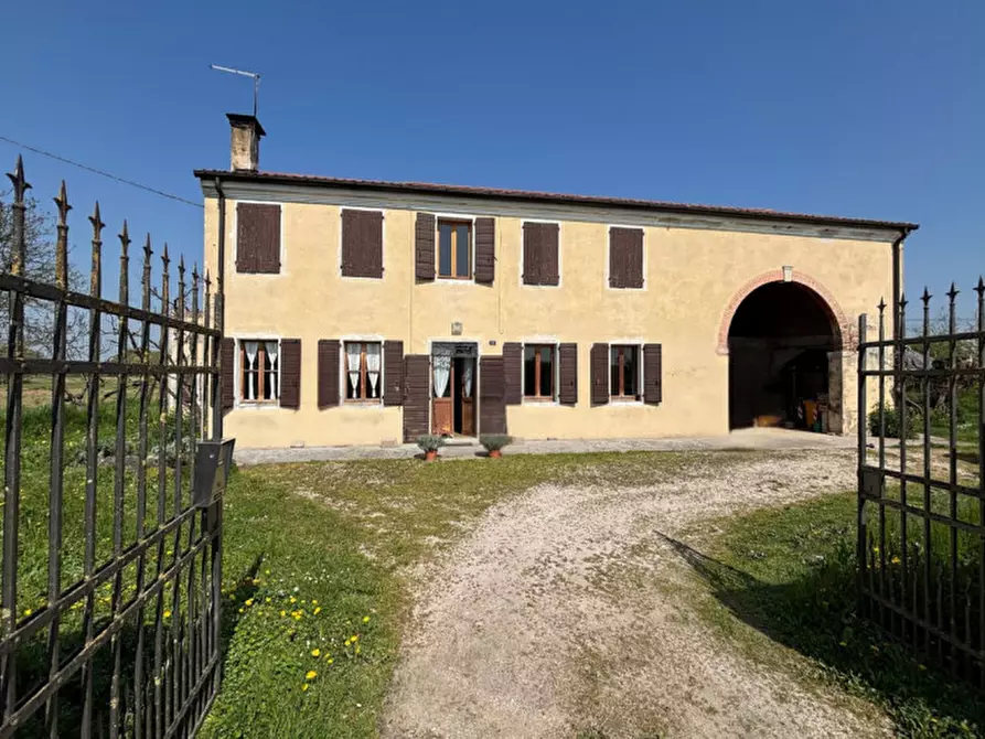 Immagine 2 di Terreno in vendita  in Via Euganea Feriole a Selvazzano Dentro