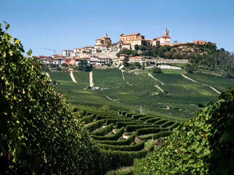 Immagine 1 di Terreno in vendita  a La Morra