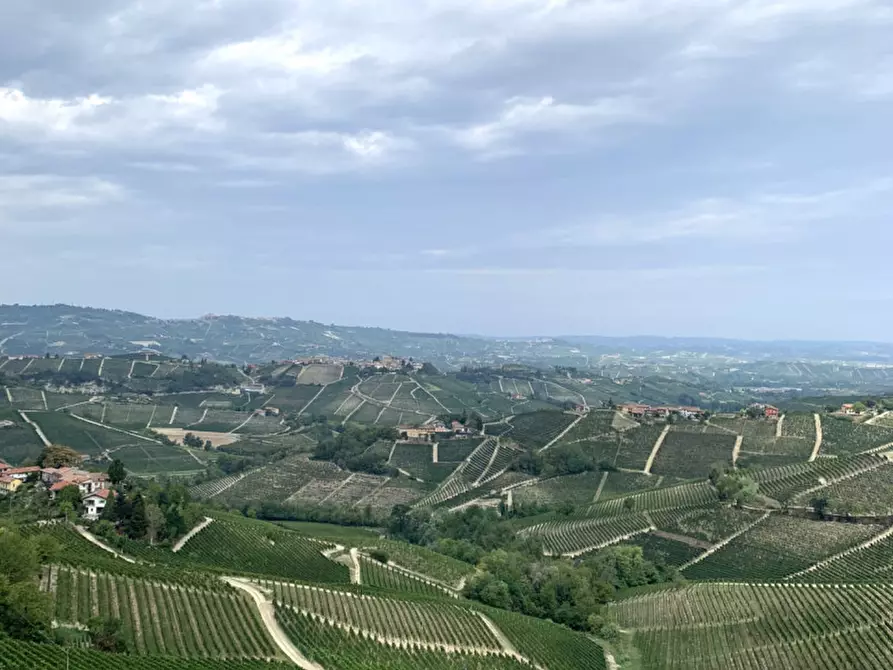 Immagine 2 di Terreno in vendita  a La Morra