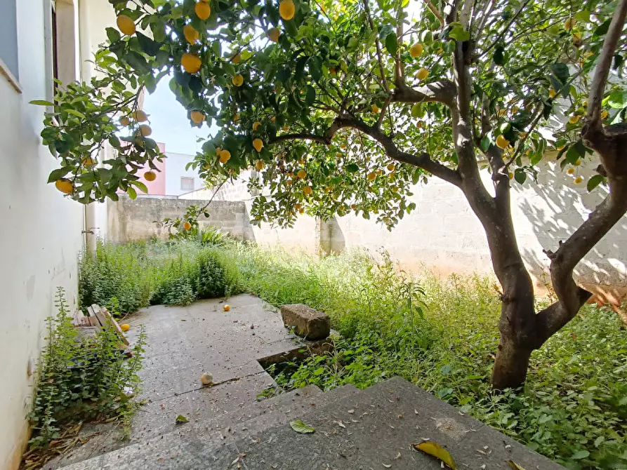 Immagine 13 di Casa indipendente in vendita  in Via Enrico De Nicola a Soleto