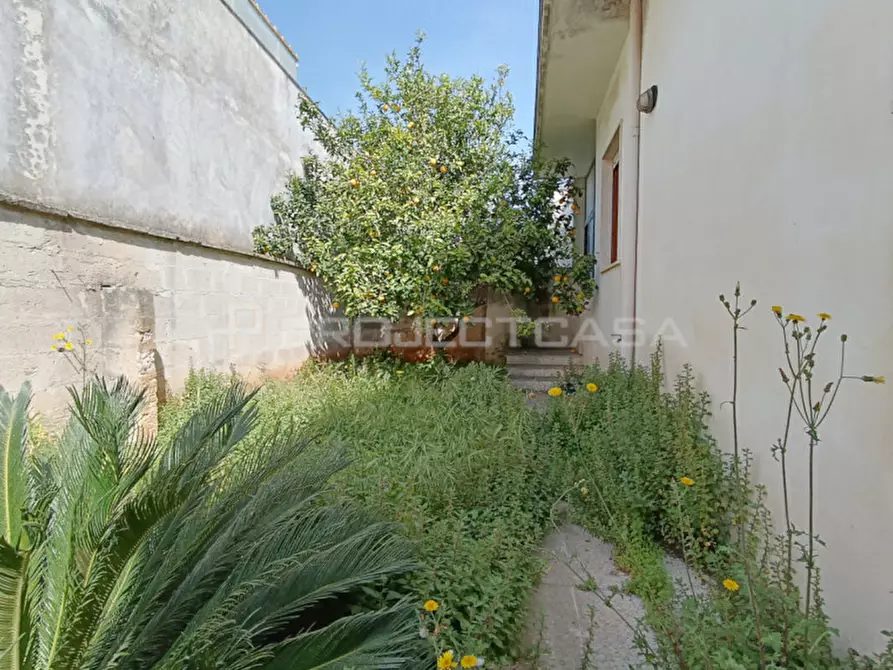 Immagine 15 di Casa indipendente in vendita  in Via Enrico De Nicola a Soleto