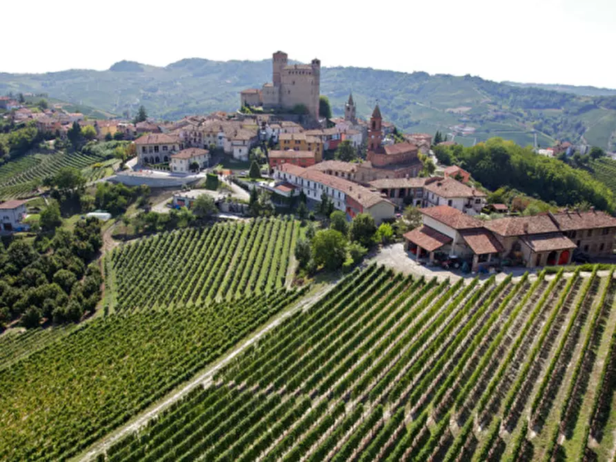 Immagine 1 di Terreno in vendita  a Serralunga D'alba