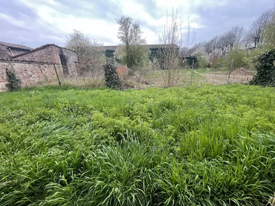 Immagine 15 di Palazzo in vendita  a Gualtieri