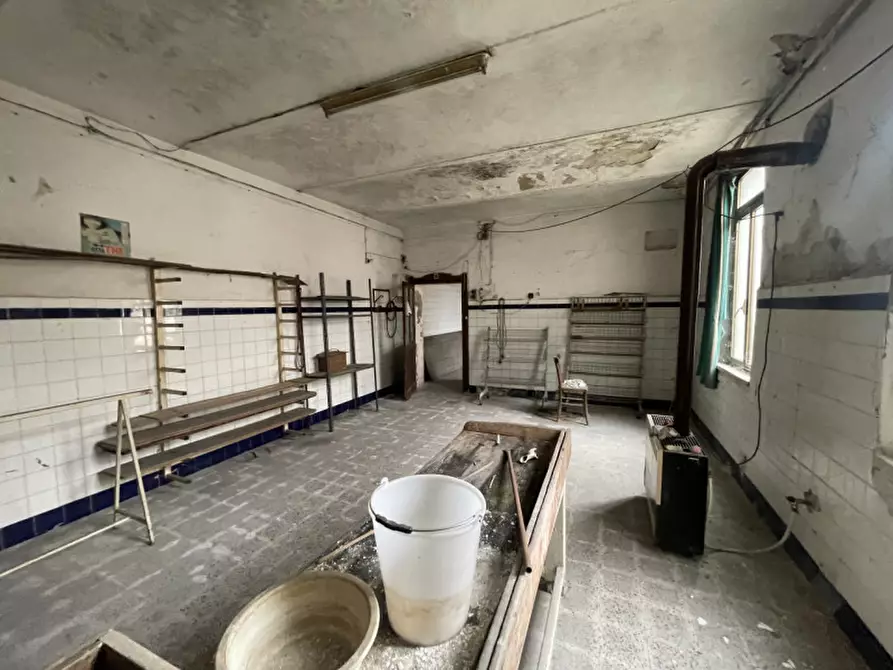 Immagine 16 di Palazzo in vendita  a Gualtieri