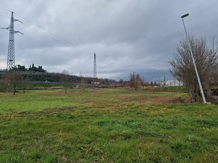 Immagine 3 di Terreno in vendita  a Foiano Della Chiana