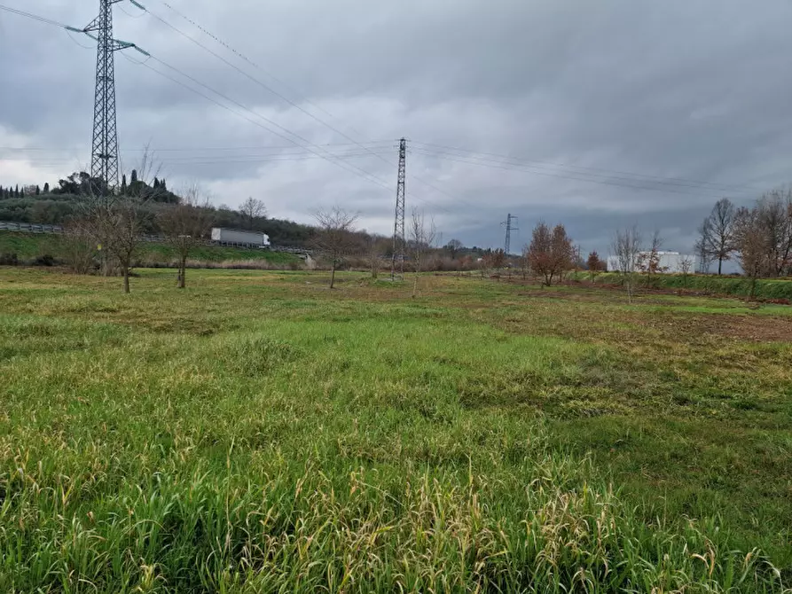 Immagine 4 di Terreno in vendita  a Foiano Della Chiana