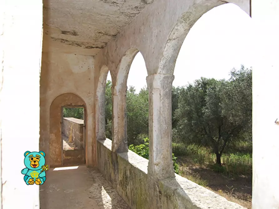 Immagine 4 di Rustico / casale in vendita  in Via Faraschita 13 a Squinzano