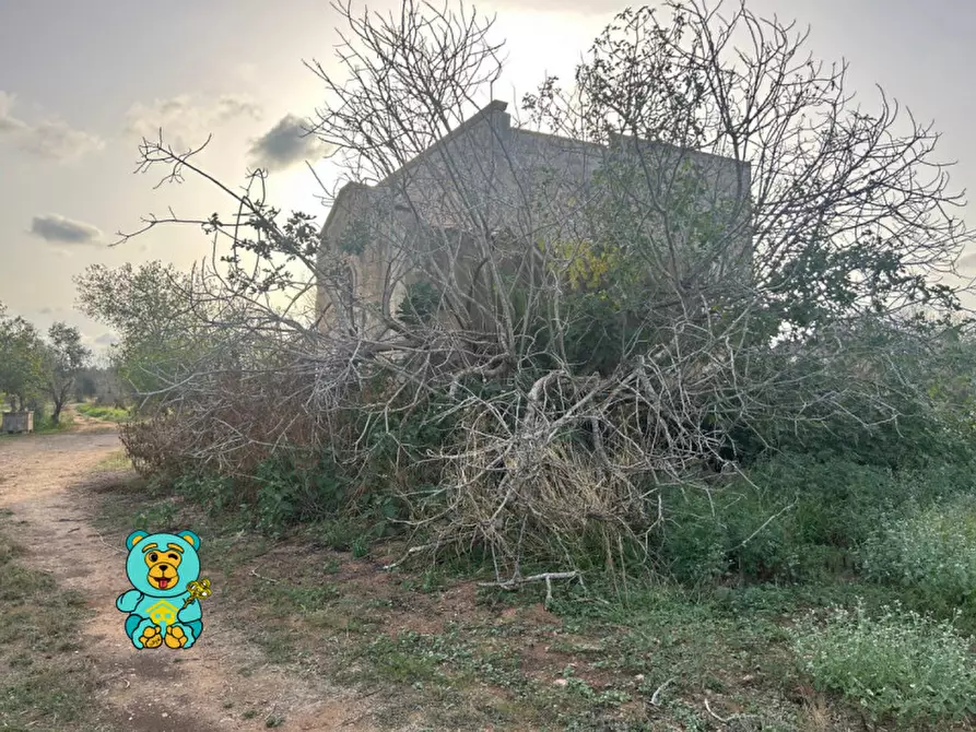 Immagine 45 di Rustico / casale in vendita  in Via Faraschita 13 a Squinzano