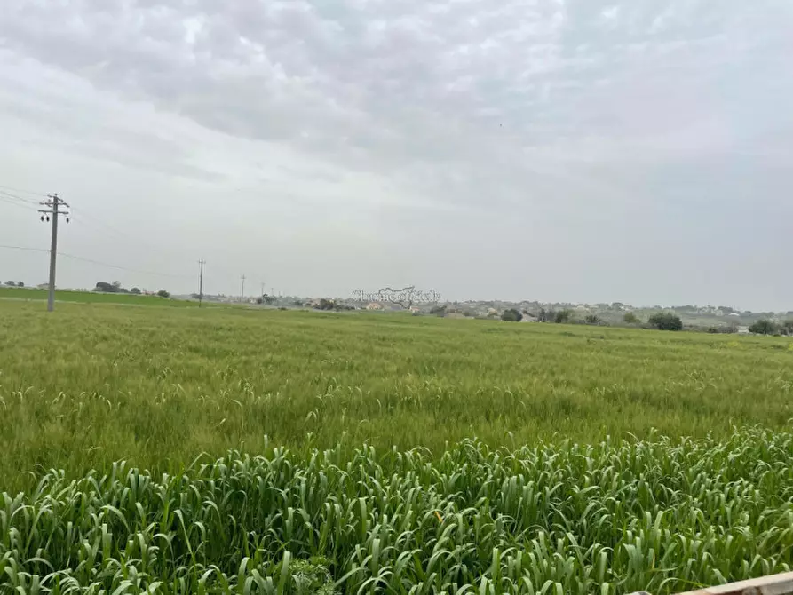 Immagine 31 di Casa indipendente in vendita  in C.da Catanzarello a Modica