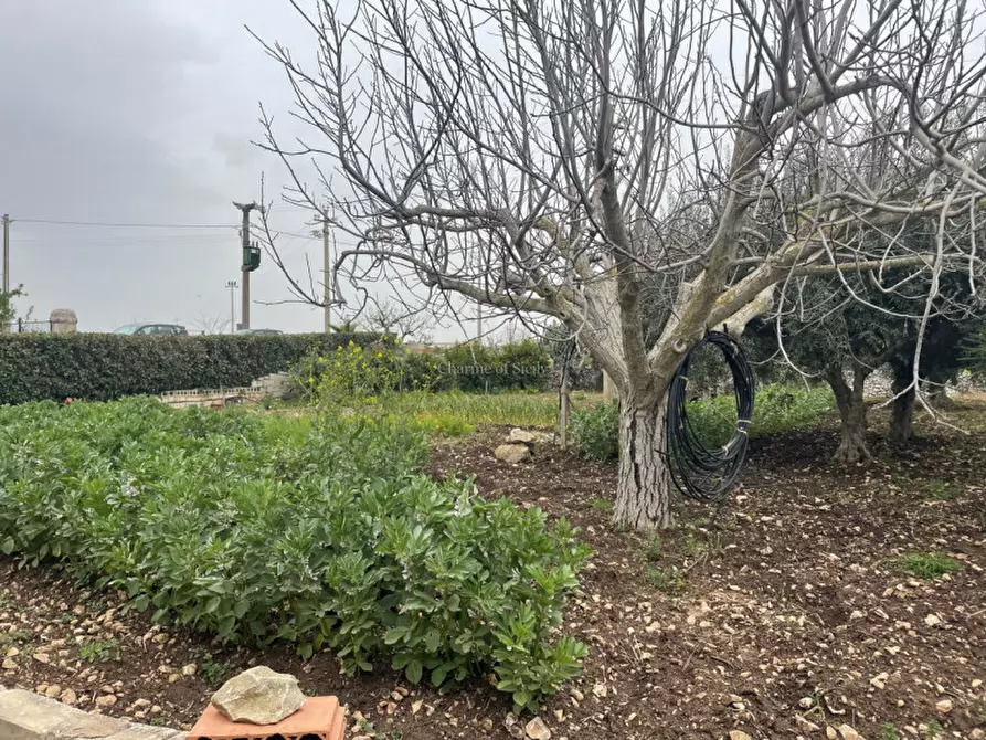 Immagine 35 di Casa indipendente in vendita  in C.da Catanzarello a Modica