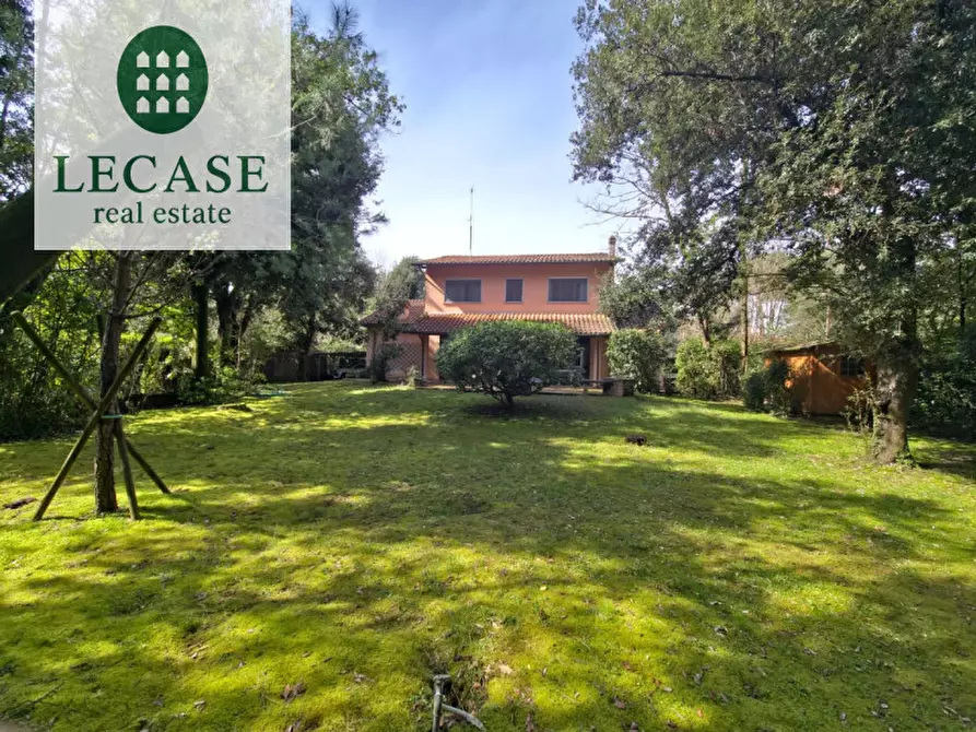 Immagine 4 di Villa in affitto  in Via Simone Martini a Forte Dei Marmi