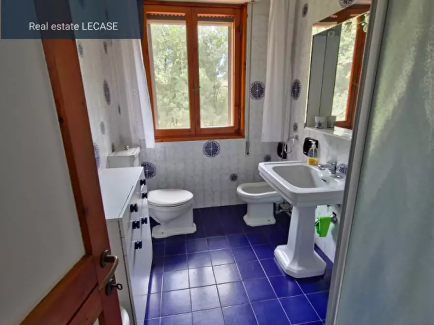 Immagine 11 di Villa in affitto  in Via Simone Martini a Forte Dei Marmi