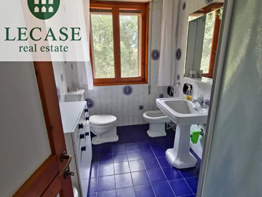 Immagine 16 di Villa in affitto  in Via Simone Martini a Forte Dei Marmi