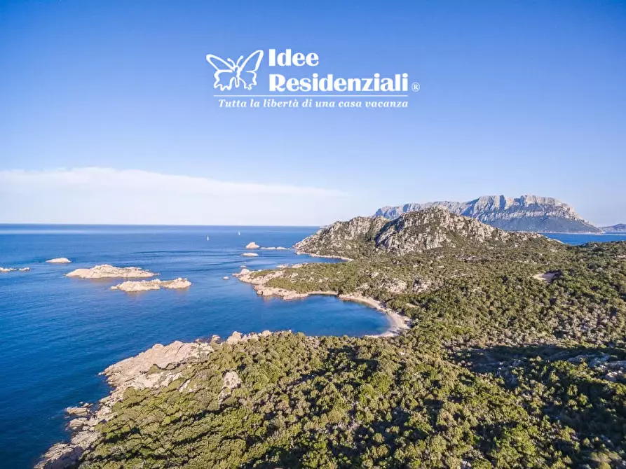 Immagine 17 di Villa in vendita  in capo ceraso a Olbia