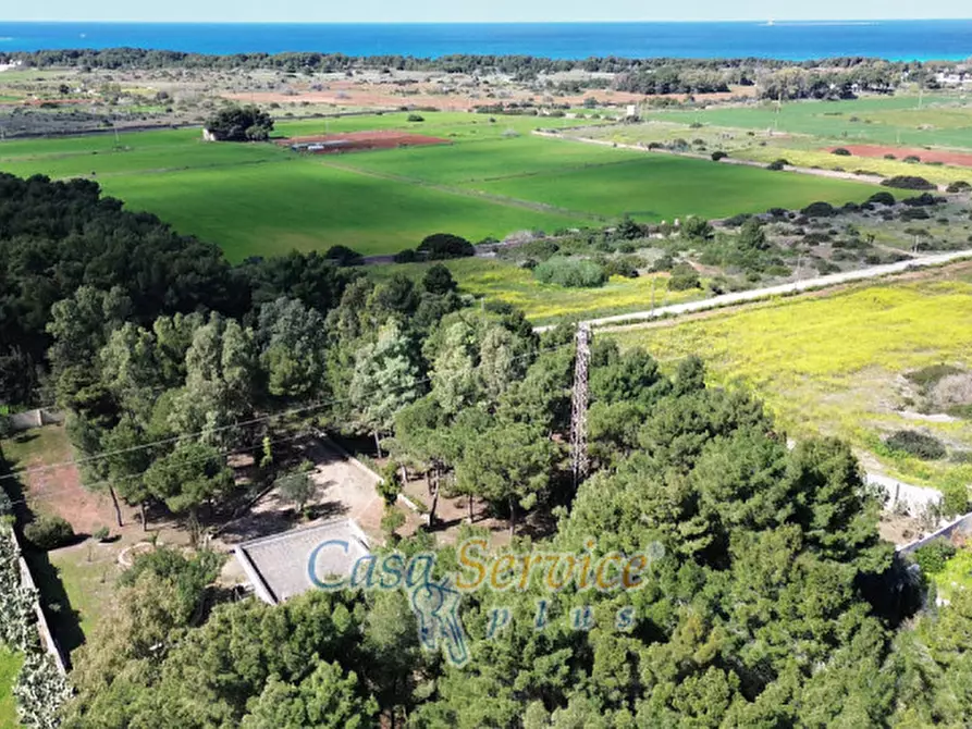 Immagine 21 di Villa in vendita  in Lido Pizzo - Li Foggi, Gallipoli a Gallipoli