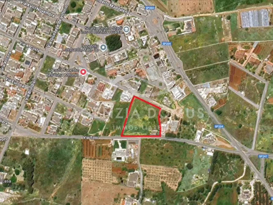 Immagine 16 di Terreno in vendita  in Località Tumari a Racale