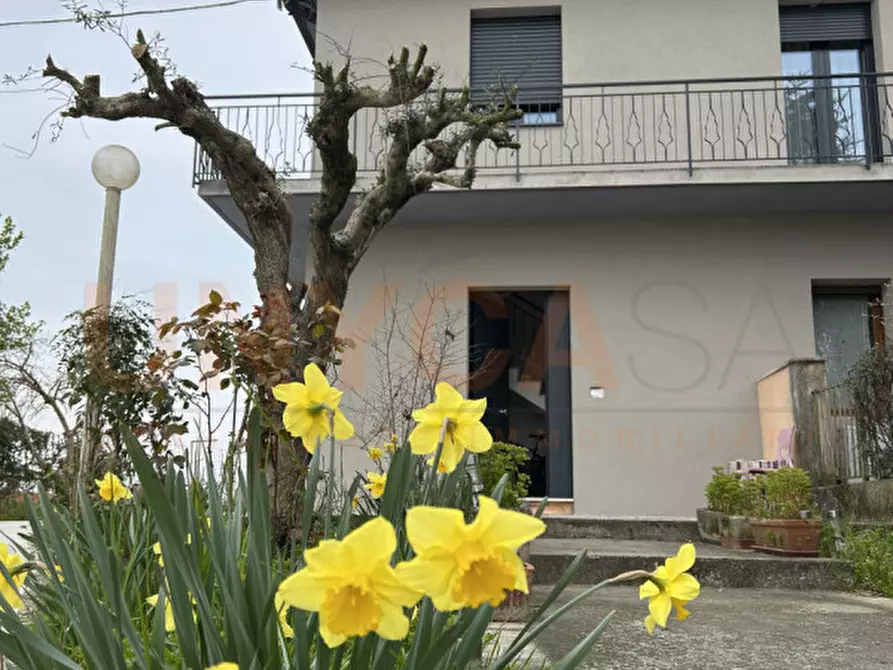 Immagine 20 di Casa bifamiliare in vendita  in Via Pegorile a Montegaldella