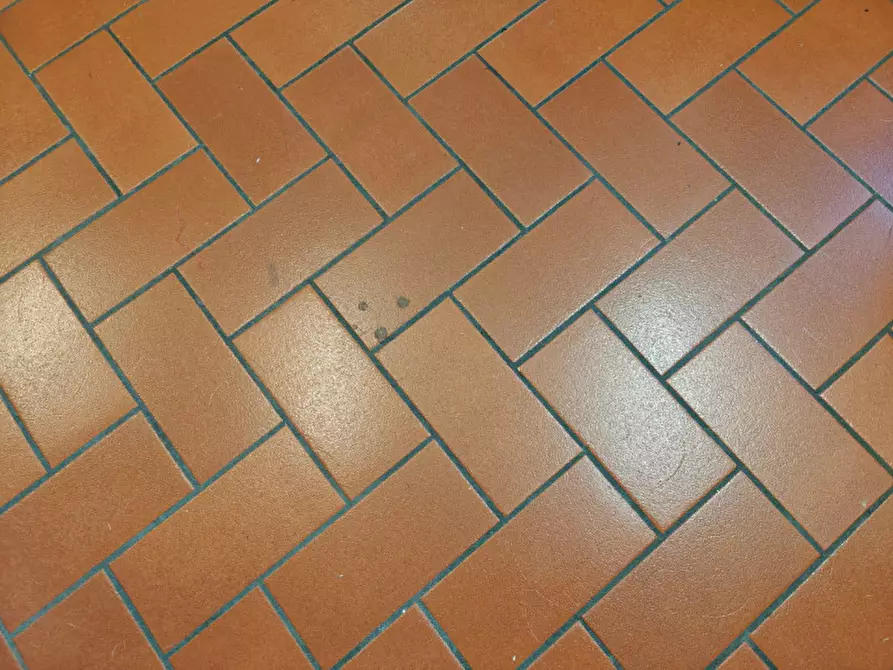 Immagine 8 di Casa indipendente in vendita  a Rovigo