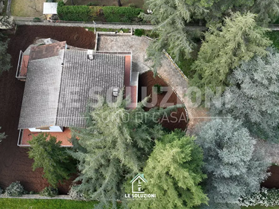 Immagine 38 di Villa in vendita  in viale delle pentimelle 14/A a Putignano