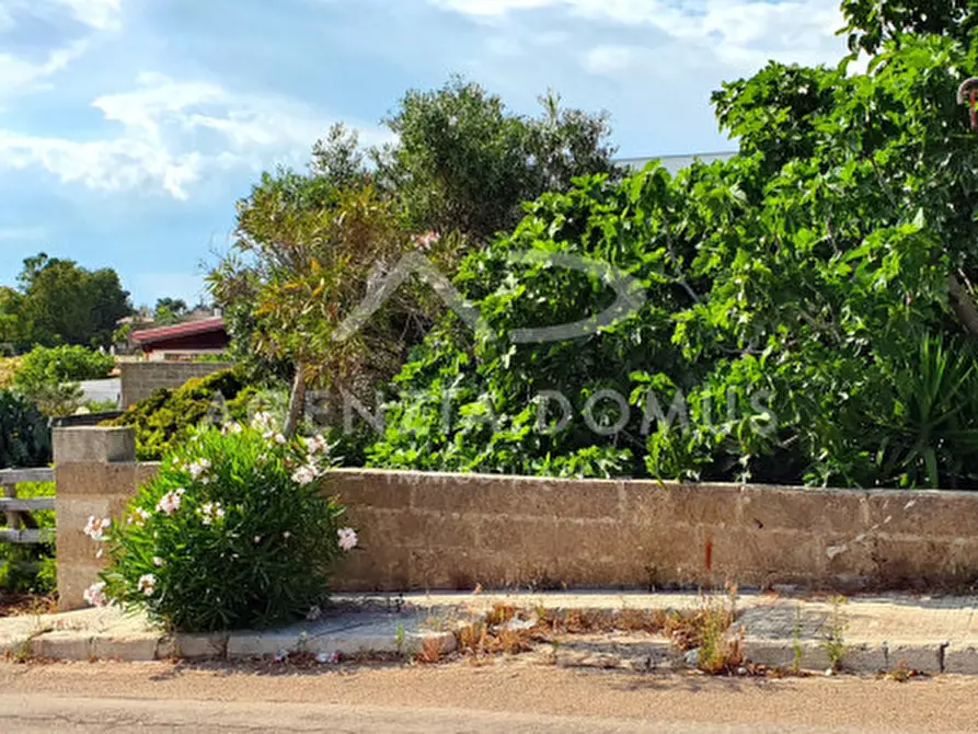Immagine 6 di Terreno in vendita  in Via Adua ang. Via Martiri di Belfiore a Racale