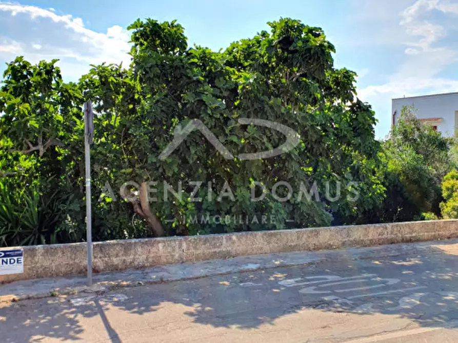 Immagine 7 di Terreno in vendita  in Via Adua ang. Via Martiri di Belfiore a Racale