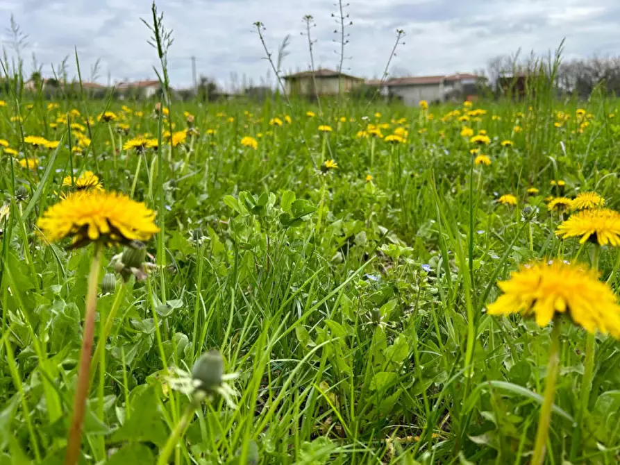 Immagine 1 di Terreno in vendita  in Via Col Moschin a Bassano Del Grappa