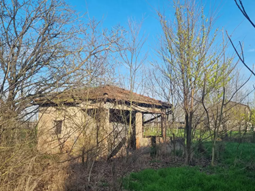 Immagine 3 di Villa in vendita  in Via Bedollo a Fabbrico