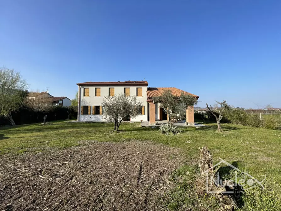 Immagine 3 di Villa in vendita  a Monselice