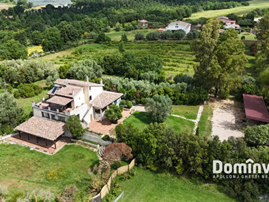 Immagine 6 di Villa in vendita  in Strada cacciata grande a Montalto Di Castro