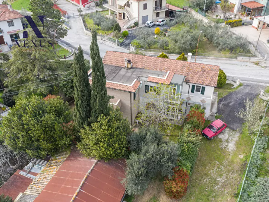 Immagine 5 di Casa indipendente in vendita  a Corinaldo