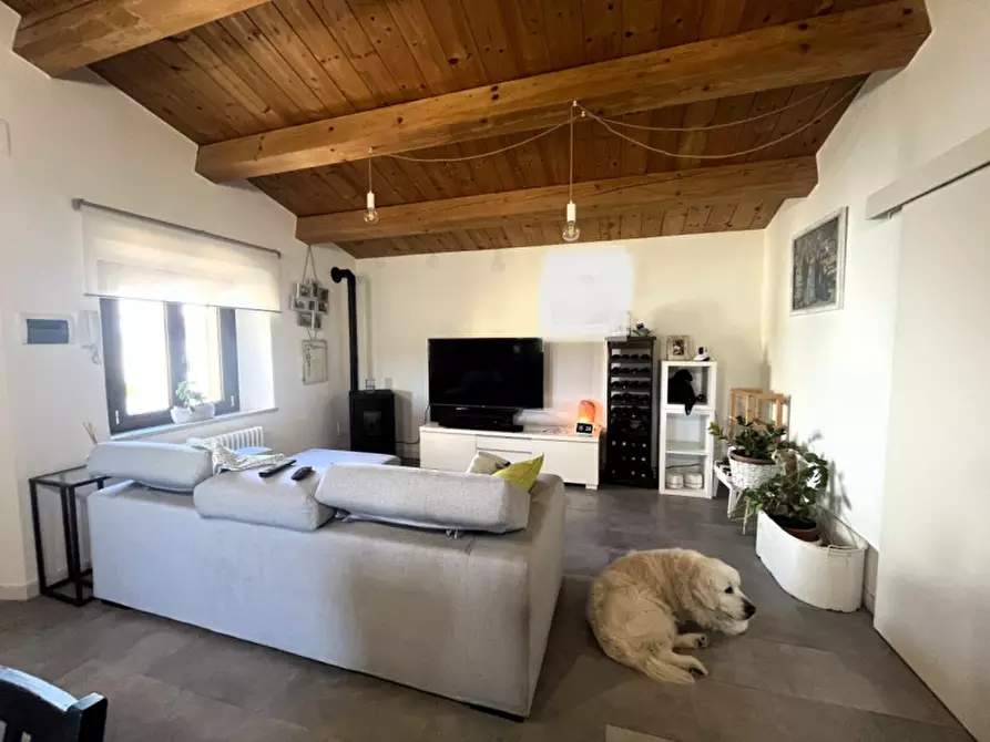 Immagine 3 di Villa in vendita  in Strada Frazione Varano a Ancona