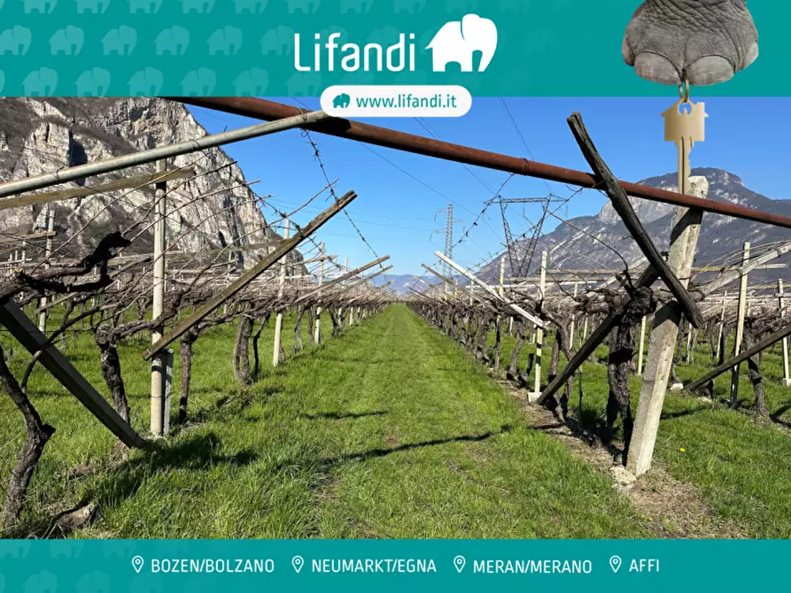 Immagine 1 di Terreno in vendita  a Salorno .Salurn.