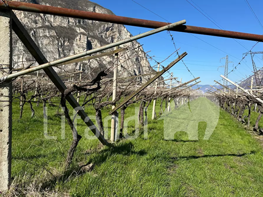 Immagine 2 di Terreno in vendita  a Salorno .Salurn.