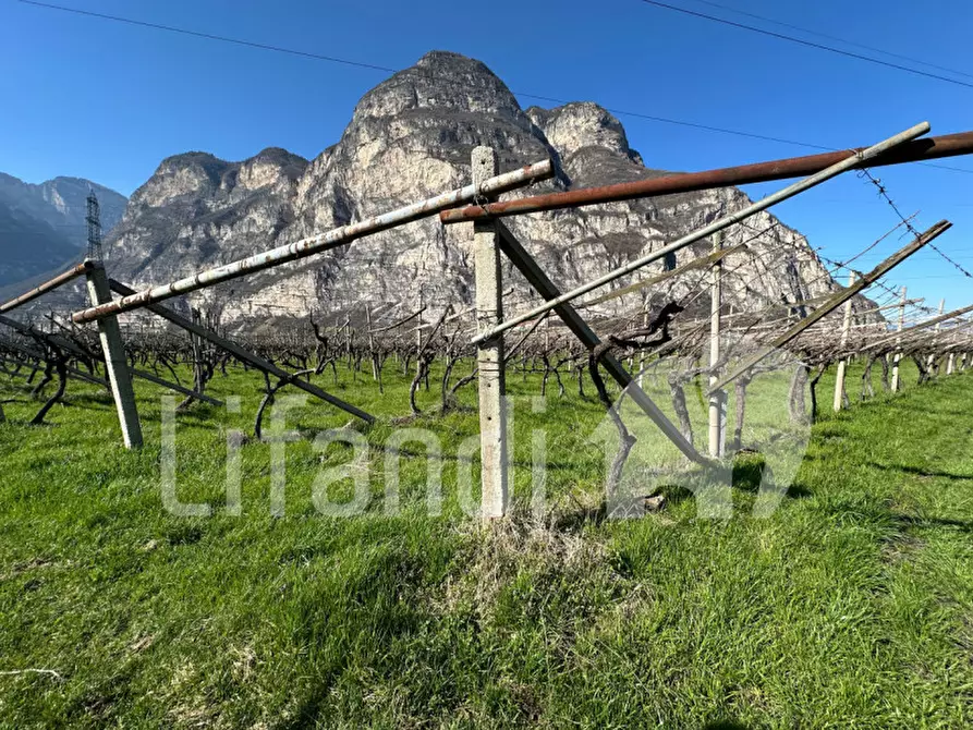 Immagine 3 di Terreno in vendita  a Salorno .Salurn.