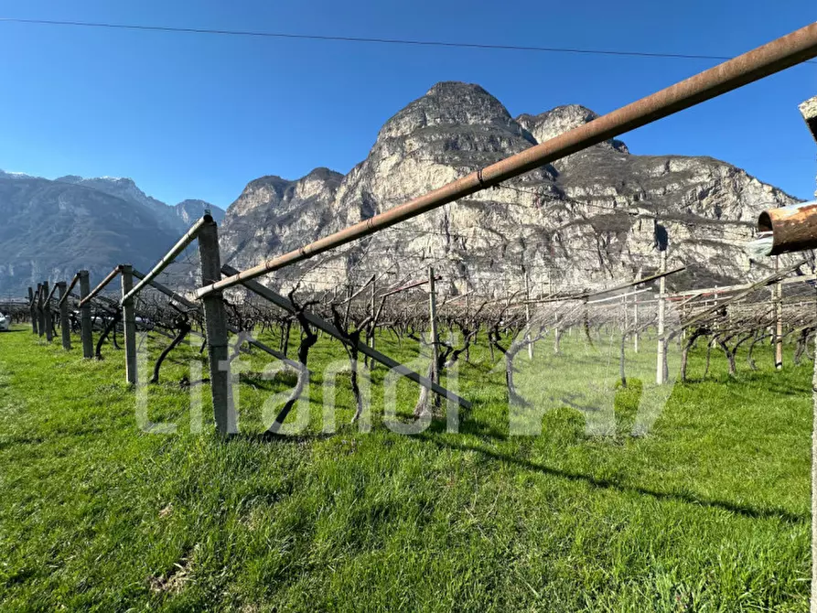 Immagine 4 di Terreno in vendita  a Salorno .Salurn.