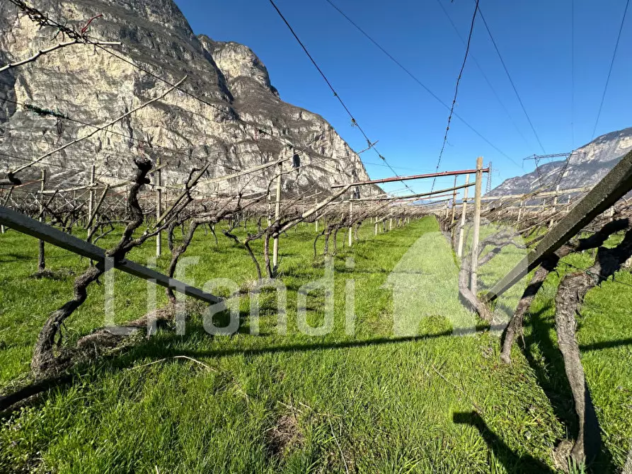 Immagine 6 di Terreno in vendita  a Salorno .Salurn.