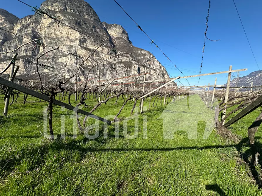 Immagine 7 di Terreno in vendita  a Salorno .Salurn.