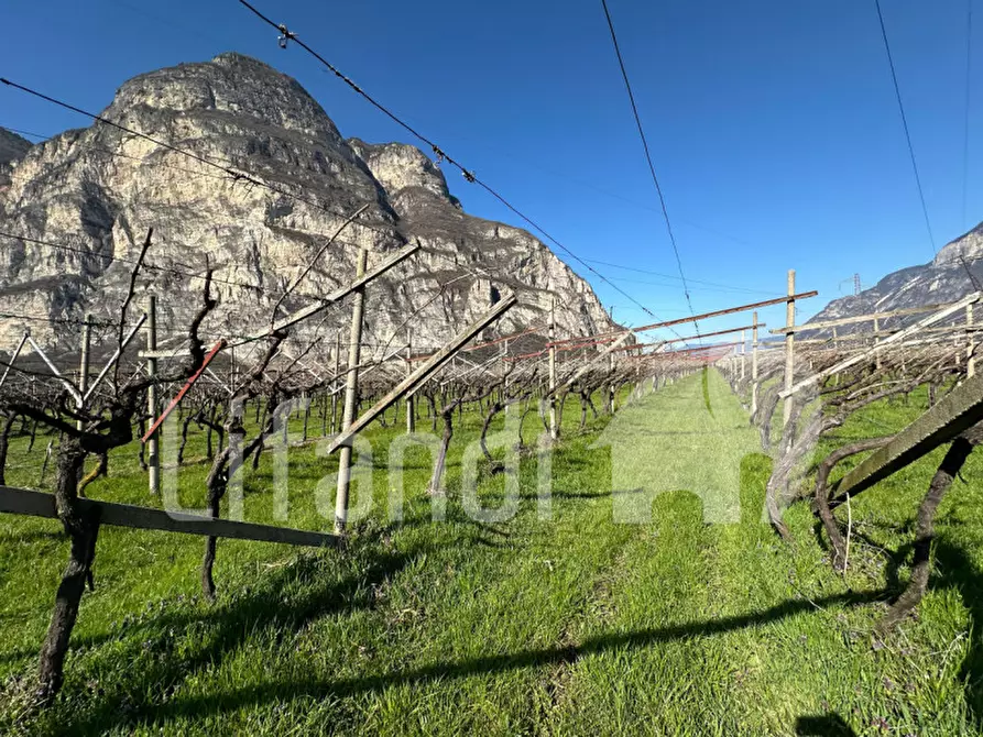 Immagine 8 di Terreno in vendita  a Salorno .Salurn.