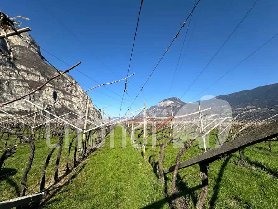 Immagine 9 di Terreno in vendita  a Salorno .Salurn.