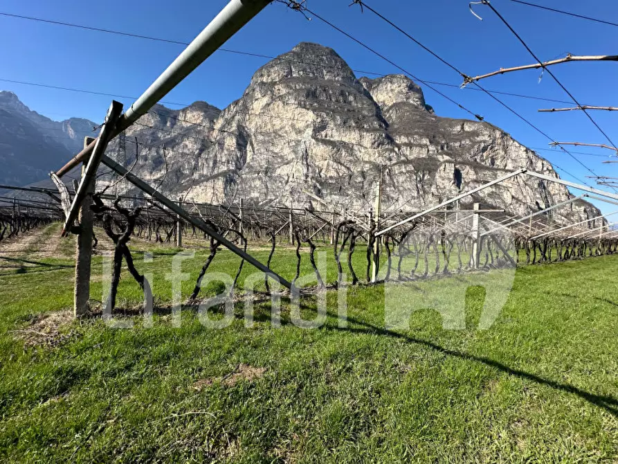 Immagine 10 di Terreno in vendita  a Salorno .Salurn.