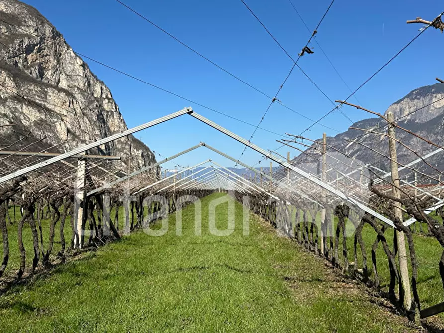 Immagine 11 di Terreno in vendita  a Salorno .Salurn.