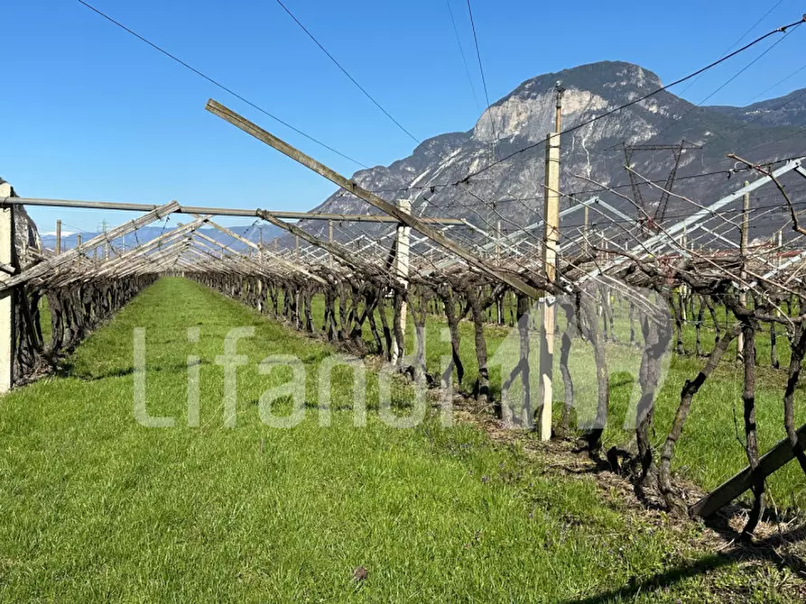 Immagine 12 di Terreno in vendita  a Salorno .Salurn.